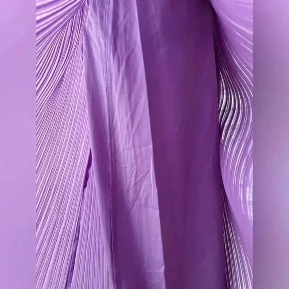 BNWT Crisscross Cut-Out pleated and lined long Gown - Picture 16 of 17